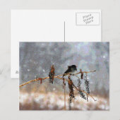 Junko im Schnee Postkarte (Vorne/Hinten)