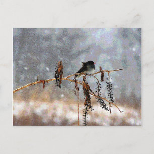 Junko im Schnee Postkarte