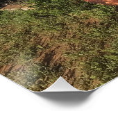 Junkyard Treasures Poster (Ecke)