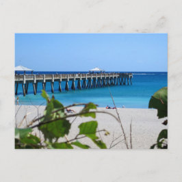 Juno Beach Pier Postkarte
