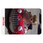 Juno Magnet (Horizontal)