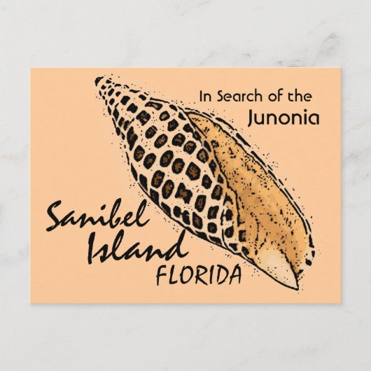 Junonia Muschel Sanibel Island Spaß Postkarte (Vorderseite)