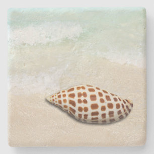 Junonia Seashell am Strand Untersetzer