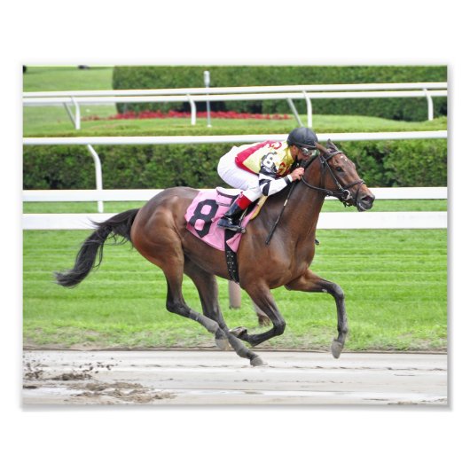 Junoon & Javier Castellano Fotodruck (Vorne)