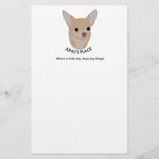 Junos Platz stationär Briefpapier