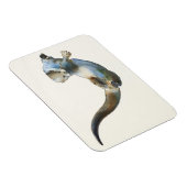 Junter 2014 magnet (Rechte Seite)