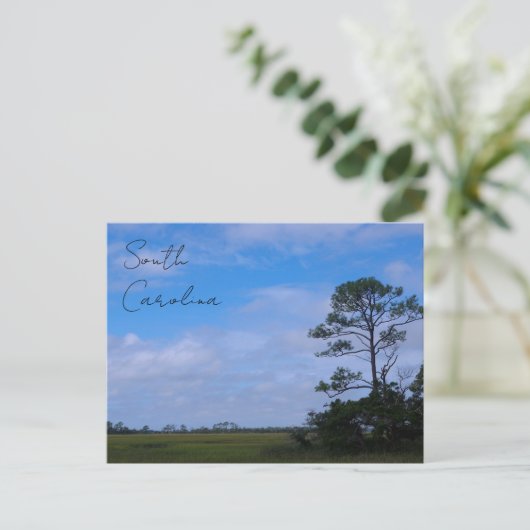 Junting Island Marsh Postkarte (Stehend Vorderseite)