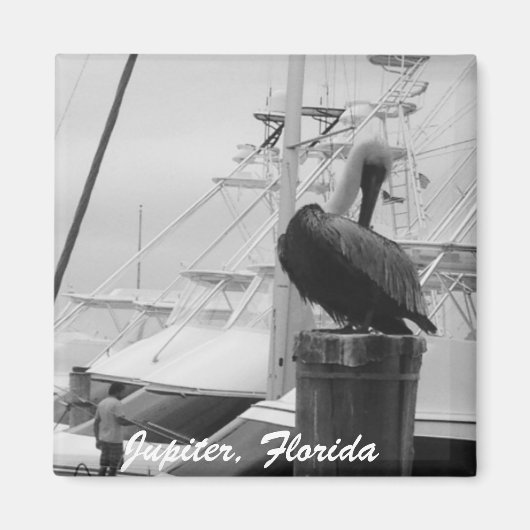 Jupiter, Florida Boats & Pelican Foto Magnet (Vorne)