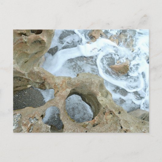 Jupiter Florida Fotografie mit blühenden Rocks Postkarte (Vorderseite)