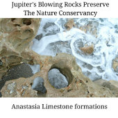 Jupiter Florida Kaffeetasse