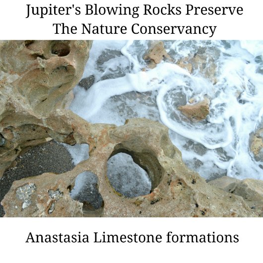 Jupiter Florida Kaffeetasse