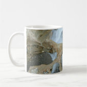Jupiter Florida Kaffeetasse (Links)