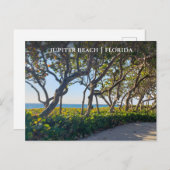 Jupiter Florida Postcard Seepromenade Postkarte (Vorne/Hinten)