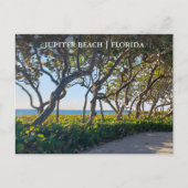 Jupiter Florida Postcard Seepromenade Postkarte (Vorderseite)
