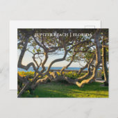 Jupiter Florida Postkarte (Vorne/Hinten)