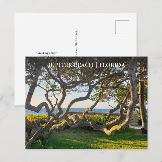 Jupiter Florida Postkarte (Vorne/Hinten)