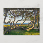 Jupiter Florida Postkarte (Vorderseite)