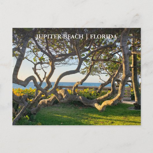 Jupiter Florida Postkarte (Vorderseite)