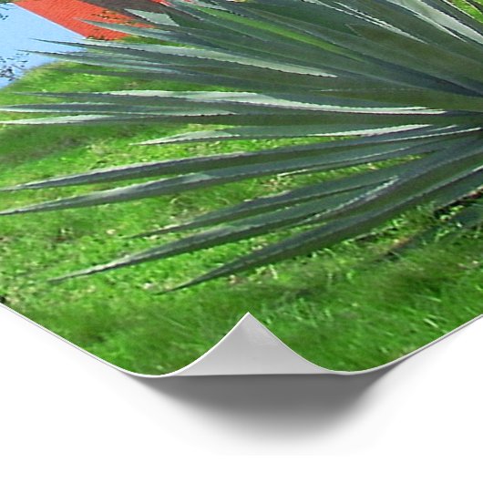 Jupiter Inlet Lighthouse, Florida Poster (Ecke)