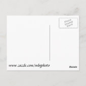 Jupiter Inlet Lighthouse Postkarte (Rückseite)