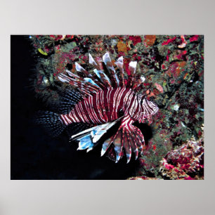 Jupiter Invader Poster