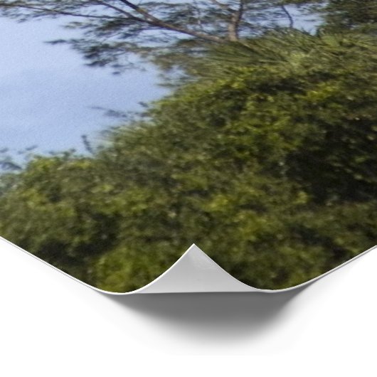 Jupiter Lighthouse Poster (Ecke)