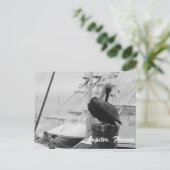 Jupiter, Postkarte des Pelikanischen Fotos (Stehend Vorderseite)