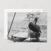 Jupiter, Postkarte des Pelikanischen Fotos (Vorne/Hinten)