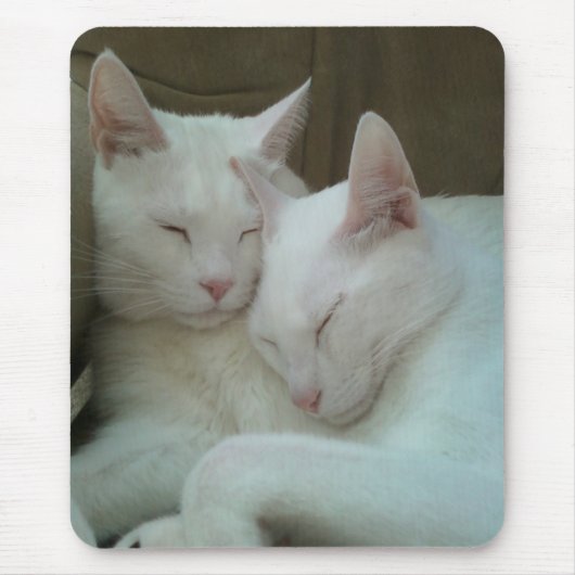 Jupiter und Kona Mousepad (Vorne)