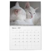 Jupiter und Konas Kitty Calender 2011-2012 Kalender (Feb 2027)