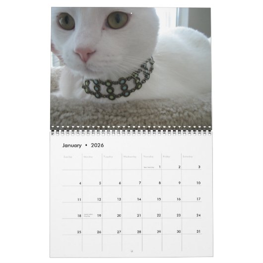 Jupiter und Konas Kitty Calender 2011-2012 Kalender (Jan 2026)