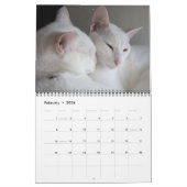 Jupiter und Konas Kitty Calender 2011-2012 Kalender (Feb 2026)