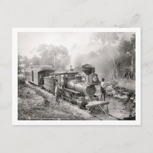 Jupiter und Lake Worth Railroad, Florida Vintage Postkarte