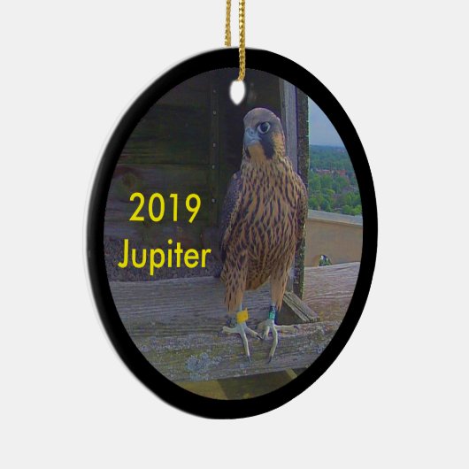 Jupiter zur Keramik 2019 Ornament (Rechts)