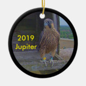 Jupiter zur Keramik 2019 Ornament (Vorne)