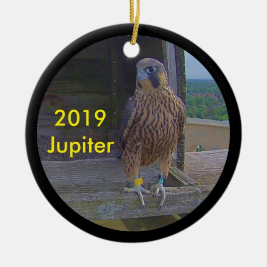 Jupiter zur Keramik 2019 Ornament (Vorne)