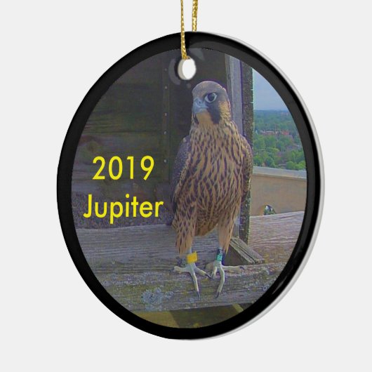 Jupiter zur Keramik 2019 Ornament (Links)