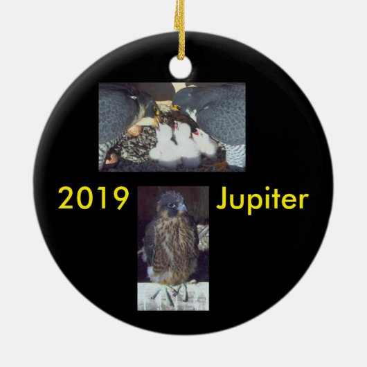 Jupiter zur Keramik 2019 Ornament (Hinten)