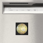 Jupitermond Magnet (In Situ (Geschirrspüler))