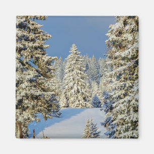Juragebirge bei Wintersonnenuntergang, Schweiz Magnet