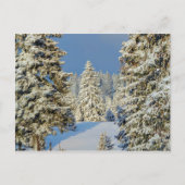 Juragebirge bei Wintersonnenuntergang, Schweiz Postkarte (Vorderseite)