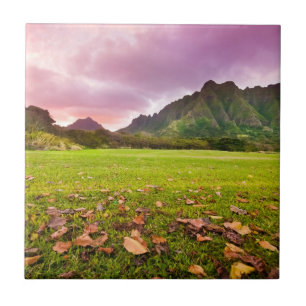 Jurasonnenuntergang Fliese