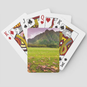 Jurasonnenuntergang Spielkarten