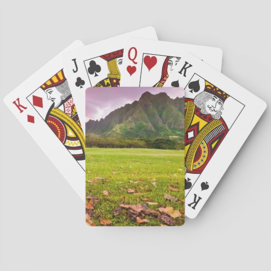 Jurasonnenuntergang Spielkarten (Rückseite)