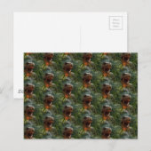 Jurassic-Dinosaurier Postkarte (Vorne/Hinten)