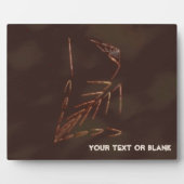 Jurassic Fossil Fotoplatte (Vorderseite)