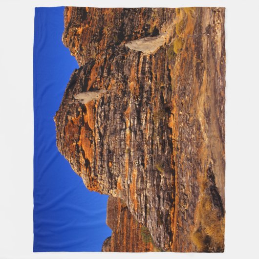 JURASSIC ROCK FLEECEDECKE (Vorderseite)