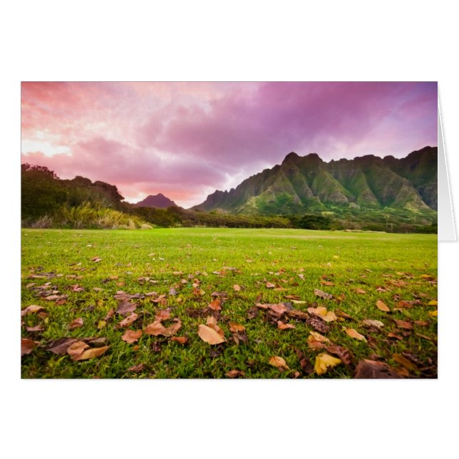 Jurassic Sunset (Vorderseite (Horizontal))