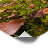 Jurassic Sunset Poster (Ecke)