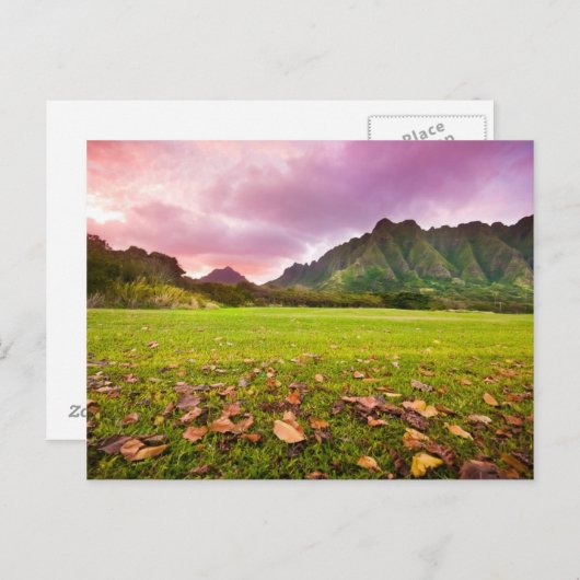 Jurassic Sunset Postkarte (Vorne/Hinten)